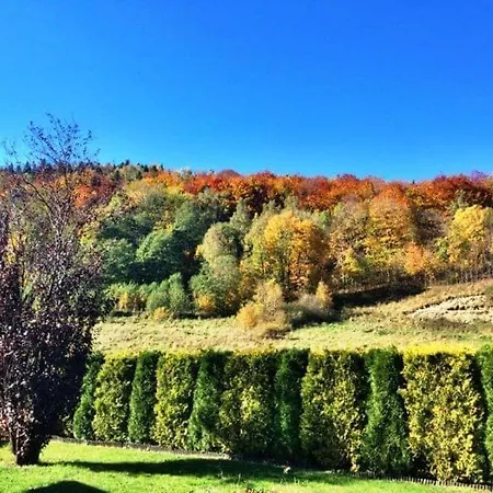 Bukowy Z Basenem * شتوروك