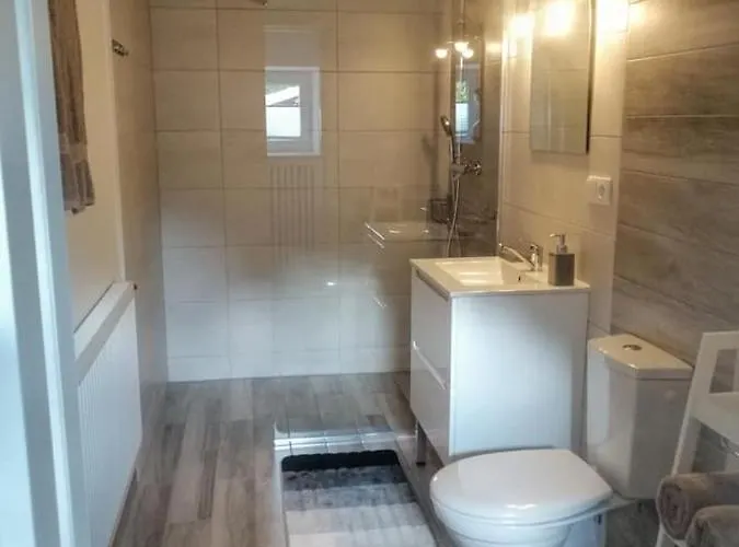 Bukowy Z Basenem שצ'צ'ירק