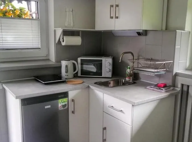 Bukowy Z Basenem * שצ'צ'ירק